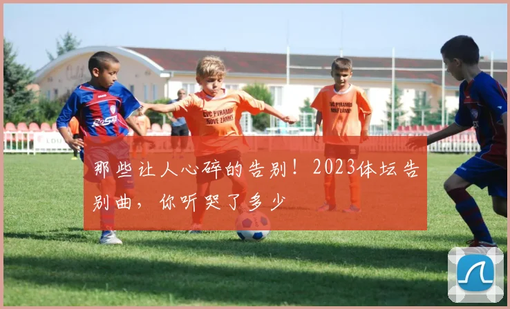 那些让人心碎的告别!2023体坛告别曲,你听哭了多少